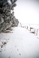 Nebraska Landscape